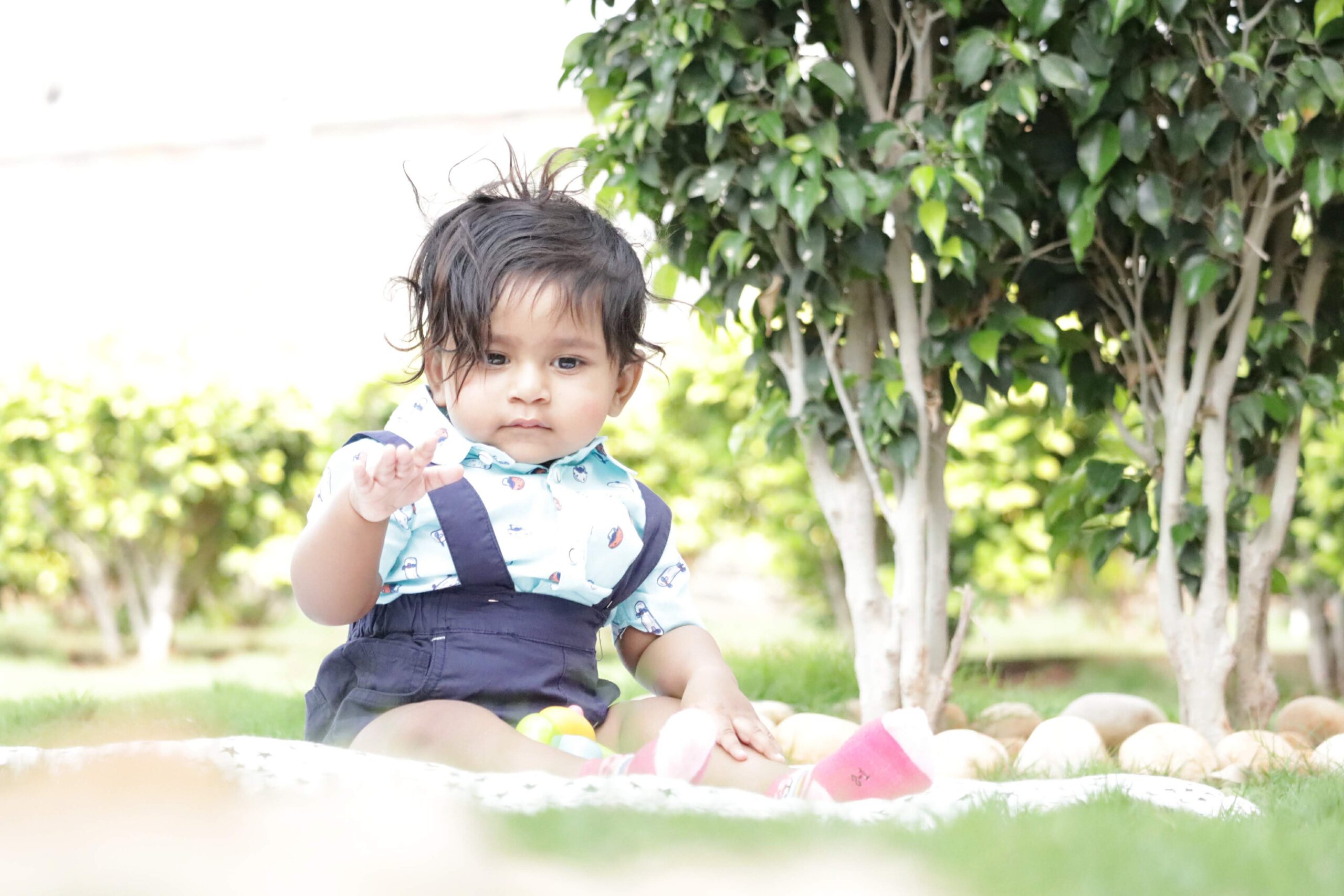 20170428152611_IMG_2453