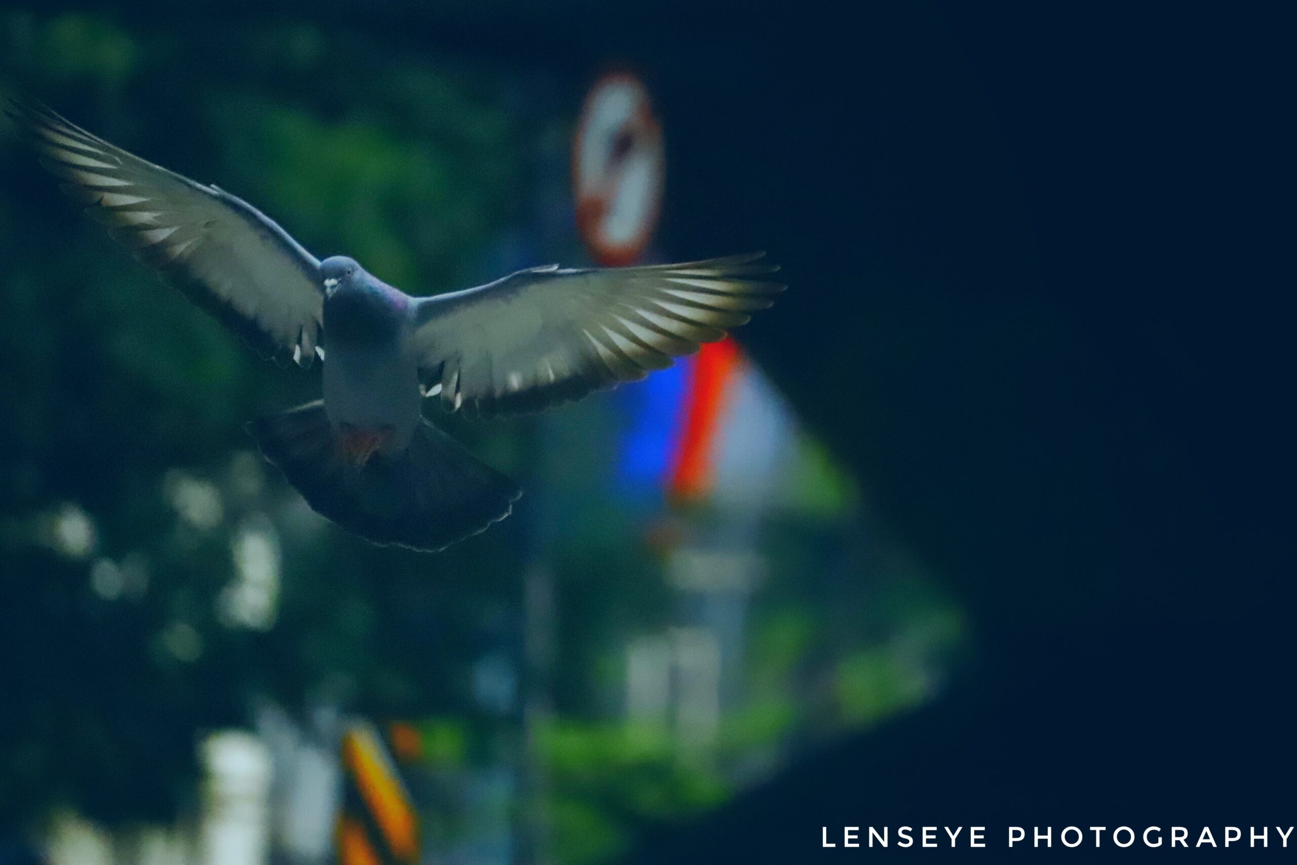 20201020104556__MG_0494-01