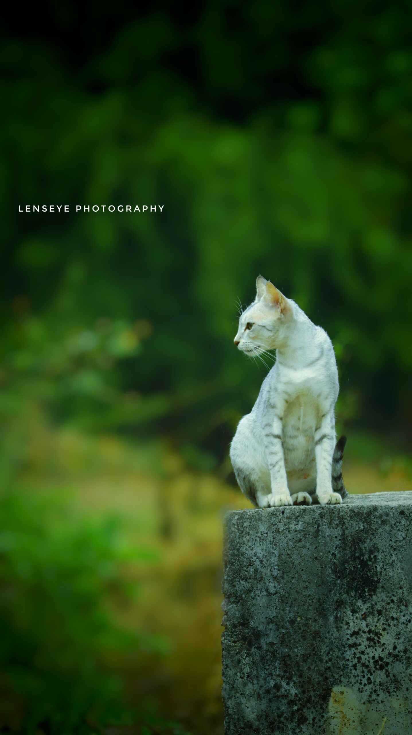 20201030112506__MG_1299-01