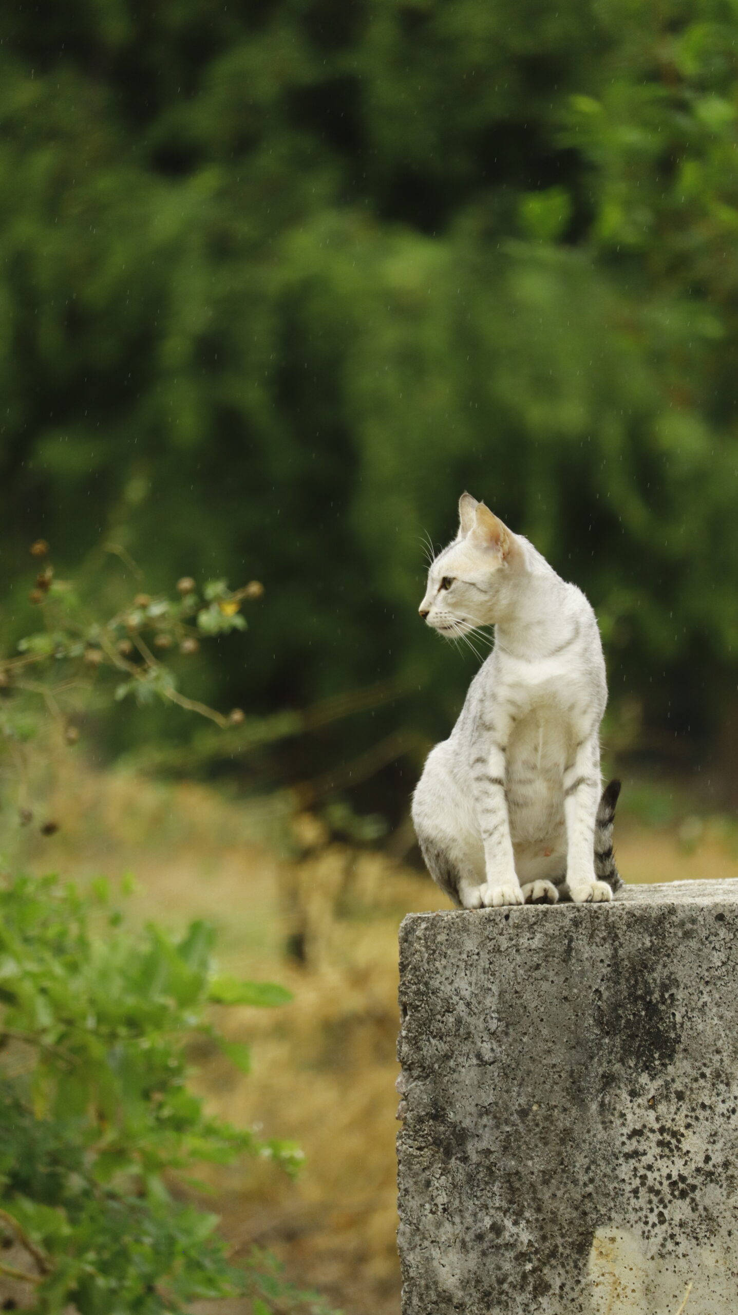 20201030112506__MG_1299