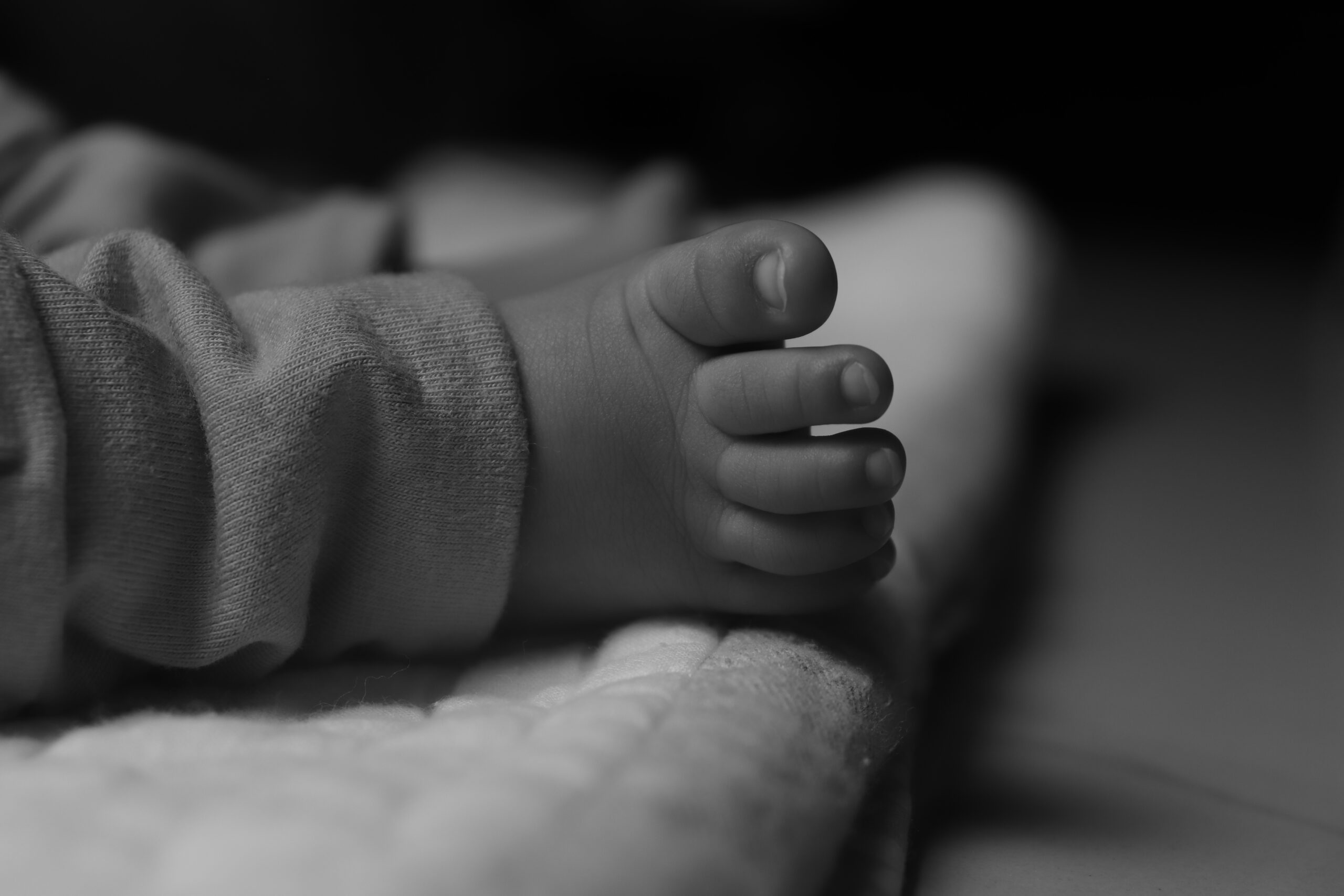 20201103172332__MG_3274